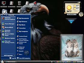 eagle and snow